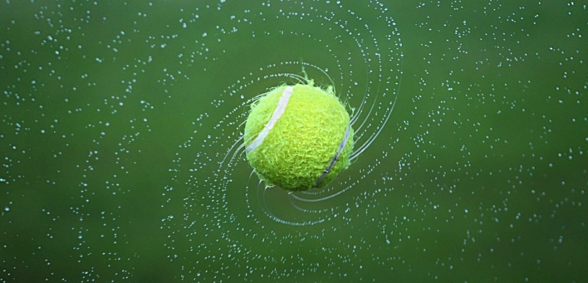 Alexandra Dulgheru va da tenisul pe arhitectura sau design in viitor