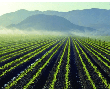 5 beneficii ale sistemelor de irigatii agricole de la Dicor Land de care trebuie sa tii cont