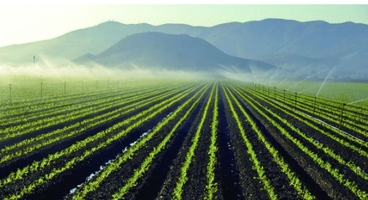 5 beneficii ale sistemelor de irigatii agricole de la Dicor Land de care trebuie sa tii cont
