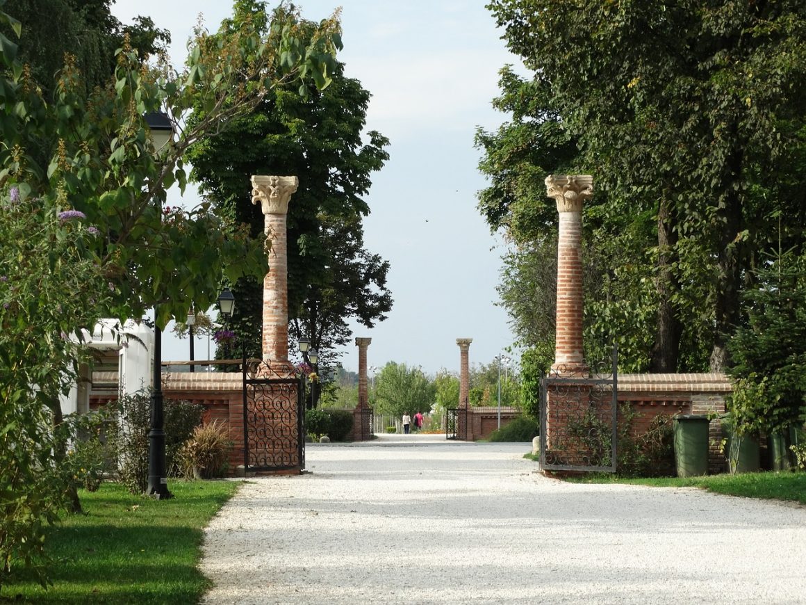 mogosoaia